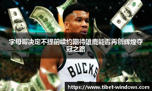智博19有限公司
